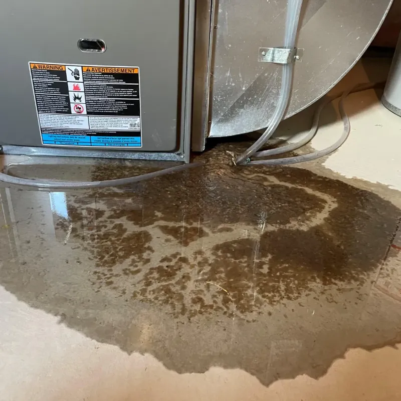 Appliance Leak Cleanup in Tallmadge, OH